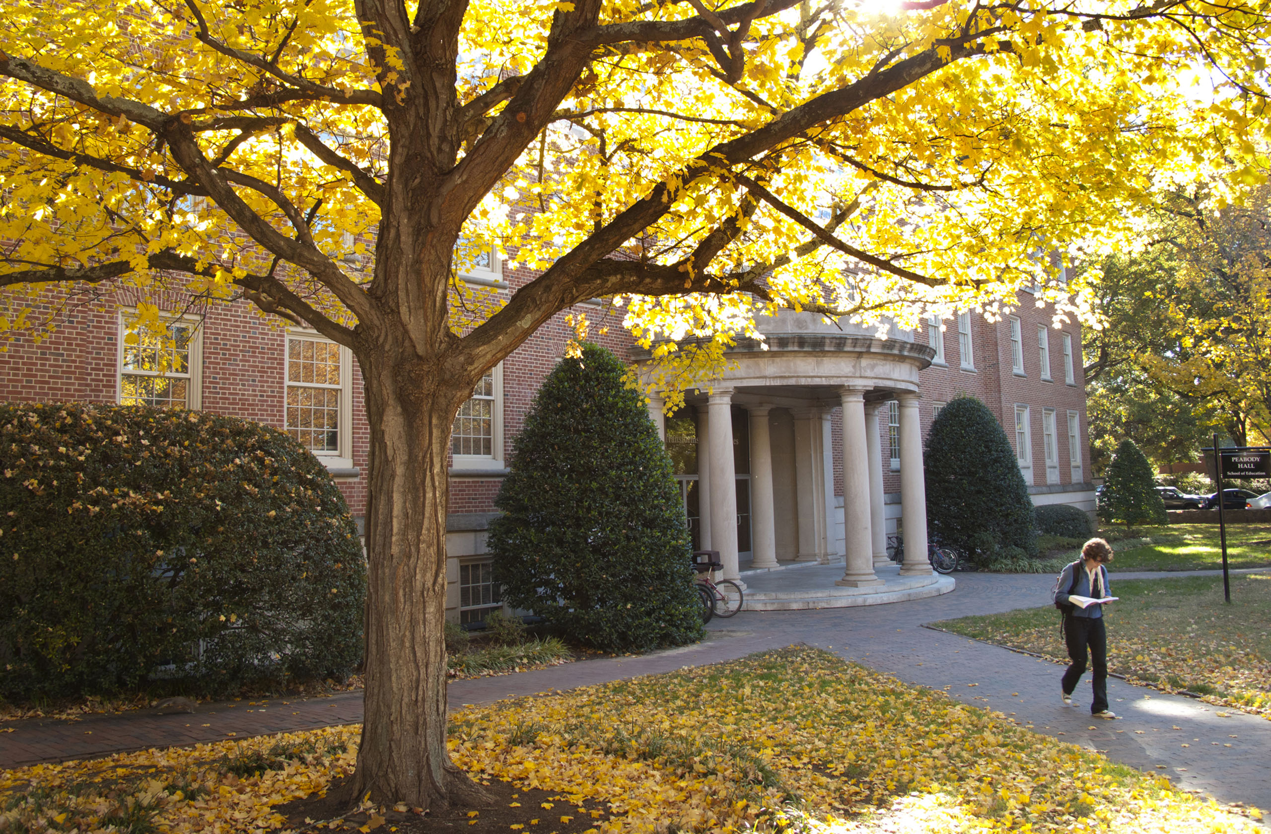 School of Education implementing new strategic plan UNC School of