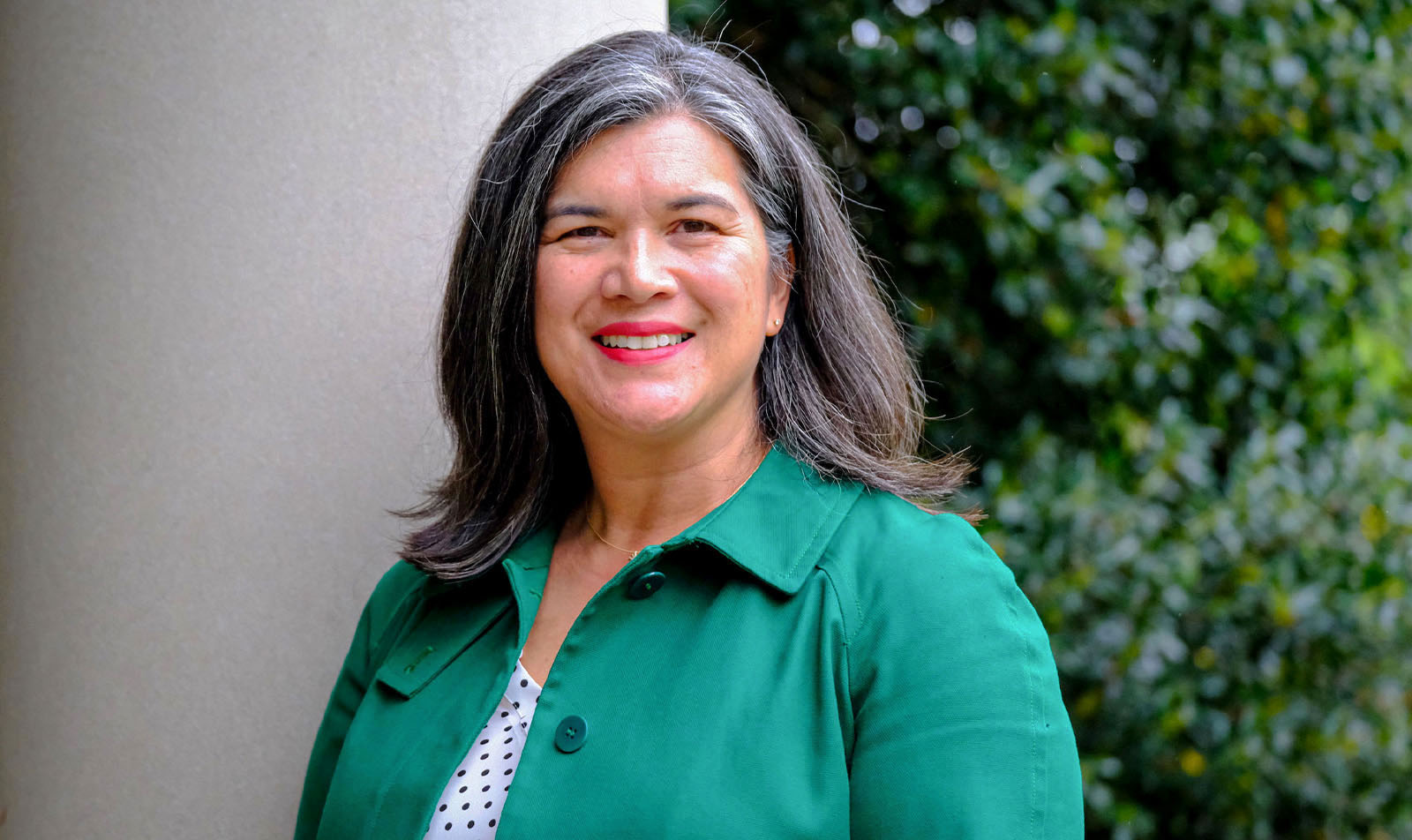 Diana Lys cover image