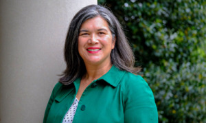 Diana Lys cover image